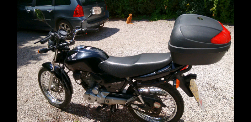 motorbikes for sale gumtree